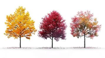 Three different colored trees are shown in a row photo