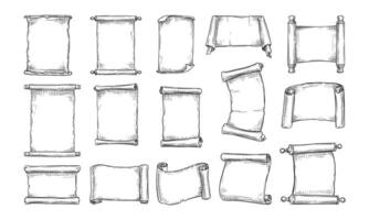 paper scroll handdrawn collection vector