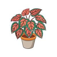 Artful Wax Begonia Houseplant Illustration vector