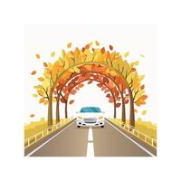 car driving through a tunnel of trees in autumn. vector