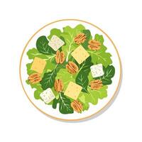 cheese and walnut salad with mixed greens vector