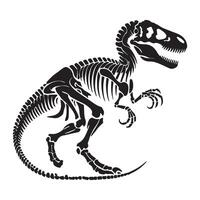 Tyrannosaurus Rex Skeleton Image Illustration for Fossil Lovers vector