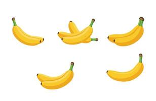 Different banana ripeness yellow healthy set display vector