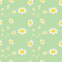 Daisy Pattern Images. Blossom Seamless Pattern of White Daisies on Color Background. vector
