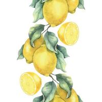 Lemon Branches with fruits, slices and leaves. Isolated hand drawn watercolor seamless border. Lane background of summer citrus fruits. Design for menu, package, cosmetic, textile, cards vector