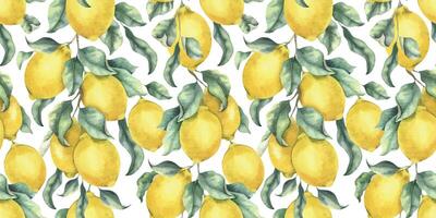 Lemons trees branches, fruit and leaves. Hand drawn watercolor seamless surface pattern design. Summer botanical background for tablecloth, package, cosmetic, textile, fabric vector