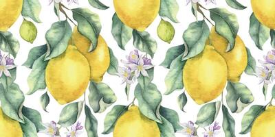 Lemon Branches with fruits, flowers and leaves. Hand drawn watercolor seamless surface pattern design. Summer tropical Background for tablecloth, package, cosmetic, textile, fabric vector