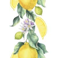 Lemon Branches with fruits, lemon slices and leaves. Isolated hand drawn watercolor seamless border. Banner of summer citrus fruits. Design for menu, package, cosmetic, textile, cards vector
