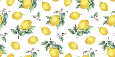 Lemon Branches with fruits, flowers and leaves. Hand drawn watercolor seamless surface pattern design. Print of Tropical citrus fruit. Background for tablecloth, package, cosmetic, textile, scrapbook vector