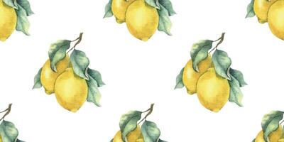Lemon fruits, branches and leaves. Hand drawn simple watercolor seamless surface pattern design. Summer botanical background for tablecloth, package, cosmetic, textile, fabric vector