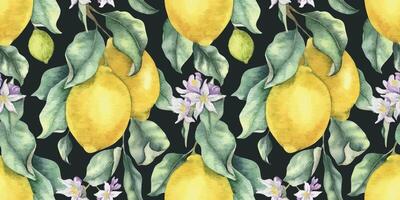 Lemon Branches with fruits, flowers and leaves. Hand drawn watercolor seamless pattern on black Background. Summer tropical print for tablecloth, package, cosmetic, textile, fabric vector
