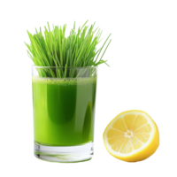 Wheat grass juice with vibrant greens and fresh lemon slice on clean Transparent background, Wheat grass juice with lemon slice in glass on background png