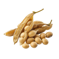 Soybean seeds and pods displayed on a Transparent background showcasing their natural form and structure, Soy beans seeds isolated on background png