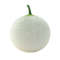 White cantaloupe melon on Transparent background showcasing unique texture and design, white cantaloupe melonisolated on background png