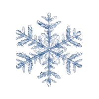 Snowflakes isolated on Transparent background showcasing intricate crystal patterns and unique designs, snowflakes isolated on png