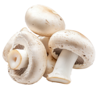 Fresh white button mushrooms on a clean Transparent background ready for cooking or garnishing dishes, White button mushrooms, background png