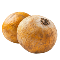 Santol fruit isolated on Transparent background highlighting its unique features and natural texture, Santol fruit isolated on background png