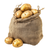 Sack filled with fresh potatoes on a clean Transparent background ready for culinary use, Sack potatoes isolated on png