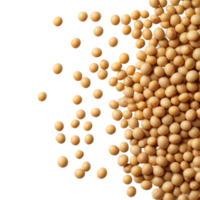 Soybean seeds isolated on a transparent background showcasing their smooth, round texture and golden color, Soy beans seeds isolated on trransparent png