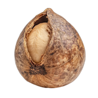 Waternut showcases its unique shape and texture against a clean Transparent background for culinary appreciation, Waternut isolated on background png