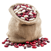 Assortment of white and red beans spilling from a burlap sack on a bright Transparent background, White and Red Beans in a Sack isolated on background png