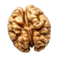 Walnut with intricate texture isolated on a Transparent background showcasing its natural patterns and colors, Walnut isolated on png