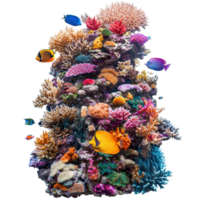 Colorful coral reef teeming with diverse fish species in a vibrant underwater ecosystem, very colorful coral reef with many different fish, Transparent background, background png