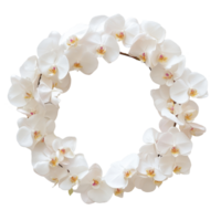 Orchids arranged creatively to form the letter F against a clean Transparent background for artistic display, Image orchids arranged in letters yz isolated on background png