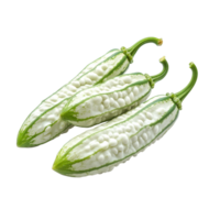 Bitter cucumber variety displayed isolated on a Transparent background for culinary use and vegetable appreciation, White bitter cucumberisolated on background png