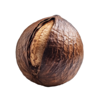 Waternut isolated on Transparent background showcasing its unique texture and color, Waternut isolated on background png