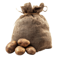 Sack of potatoes tied with twine on Transparent background showcasing freshly harvested produce, Sack potatoes isolated on png