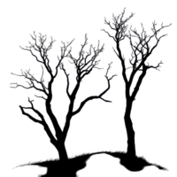 Silhouette of dry trees against a Transparent background creating a stark contrast for artistic expression, Silhouette many dry trees isolated on png