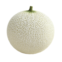 Bright white cantaloupe melon isolated on clean Transparent background showcasing textured surface and natural shape, white cantaloupe melonisolated on background png