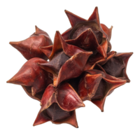 Unique water caltrop nuts displayed on a Transparent background showcasing their distinct shape and color, Water caltrop or horn chestnut or water chestnut isolated on background png