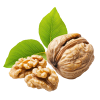 Walnuts with leaves isolated on a Transparent background showing natural textures and colors, walnuts isolated on png