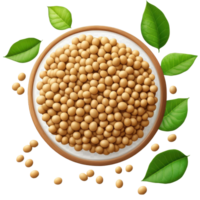 Soy bean seeds isolated on transparent background with green leaves arranged around them, Soy beans seeds isolated on trransparent png