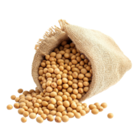 Soybeans spilling from a burlap sack on a bright Transparent background for culinary use, Soy beans isolated on background png