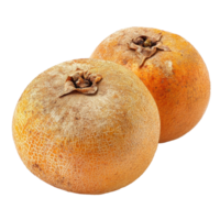 Santol fruit on a Transparent background showcasing its distinctive texture and color, Santol fruit isolated on background png