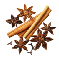 Star anise and cinnamon sticks arranged on Transparent background for culinary and decorative use, Star Anise And Cinnamon Sticks isolated on background png