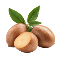 Sapodilla fruit with green leaves isolated on a Transparent background highlighting its unique texture and shape, Sapodilla fruit isolated on background png