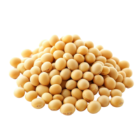 Soy bean seeds isolated on Transparent background for nutrition and agricultural purposes, Soy beans seeds isolated on background png