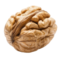 Walnut isolated on a Transparent background showcasing its intricate shell and texture, Walnut isolated on png