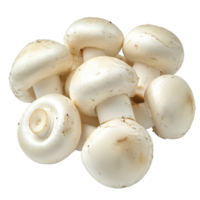 Fresh white button mushrooms arranged neatly on a clean Transparent background for culinary presentation and recipe use, White button mushrooms, background png