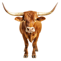 Striking longhorn bull stands proudly against a clean white backdrop in a gallery setting, Striking Longhorn Bull Against White Background, Transparent background png
