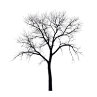 Silhouette of a leafless tree against a stark Transparent background, Silhouette a large leafless tree, isolated on a background png
