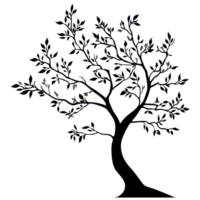 Silhouette of a large tree with branches and leaves against a plain background, Photo branches with leaves a large tree isolated on a Transparent background png