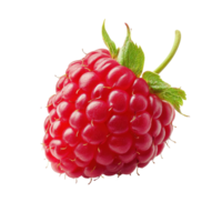 Solitary raspberry against a Transparent background exhibiting vibrant color and fresh appearance, Solitary raspberry isolated on background png