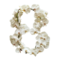 Orchids arranged artistically to form the letter F on a Transparent background for decorative purposes, Image orchids arranged in letters yz isolated on background png