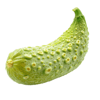 spugna zucca con unico struttura isolato su trasparente sfondo in mostra suo vivace verde colore e distinto modulo, spugna zucca isolato su sfondo png