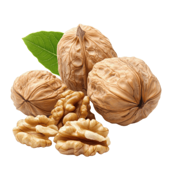 Walnuts with shells and walnut halves on a Transparent background appealing for culinary or nutritional use, Walnuts background with png